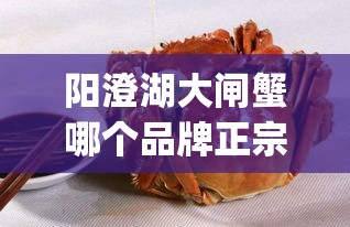 阳澄湖大闸蟹哪个品牌正宗(阳澄湖大闸蟹排名前十) 阳澄湖大闸蟹哪个品牌正宗(阳澄湖大闸蟹排名前十)