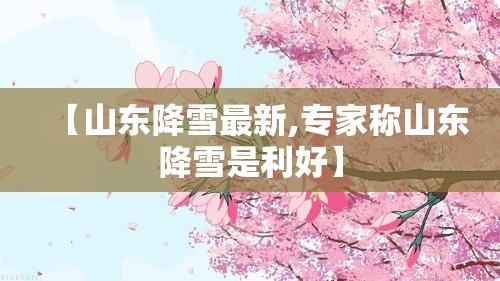 【山东降雪最新,专家称山东降雪是利好】