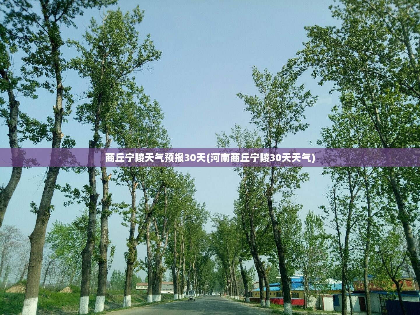 商丘宁陵天气预报30天(河南商丘宁陵30天天气) 商丘宁陵天气预报30天(河南商丘宁陵30天天气)
