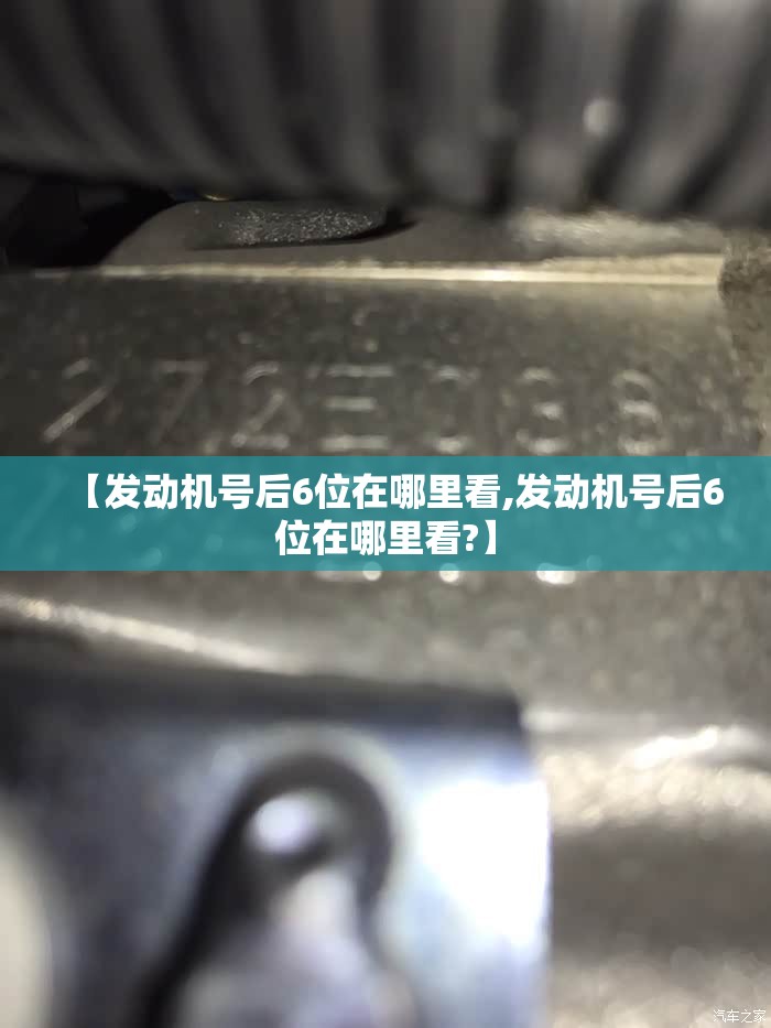 【发动机号后6位在哪里看,发动机号后6位在哪里看?】