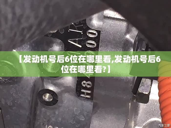 【发动机号后6位在哪里看,发动机号后6位在哪里看?】