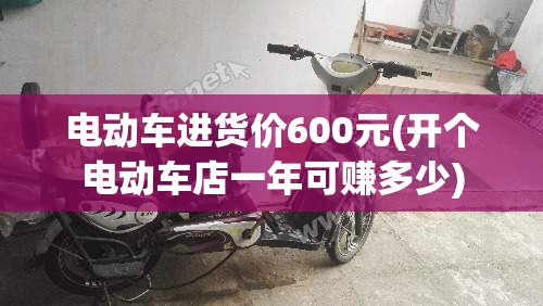 电动车进货价600元(开个电动车店一年可赚多少) 电动车进货价600元(开个电动车店一年可赚多少)