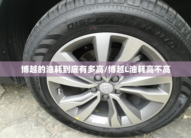 博越的油耗到底有多高/博越L油耗高不高
