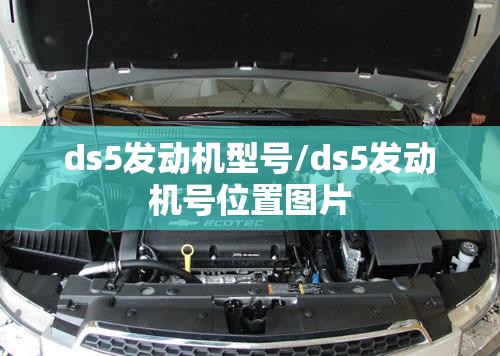 ds5发动机型号/ds5发动机号位置图片 ds5发动机型号/ds5发动机号位置图片