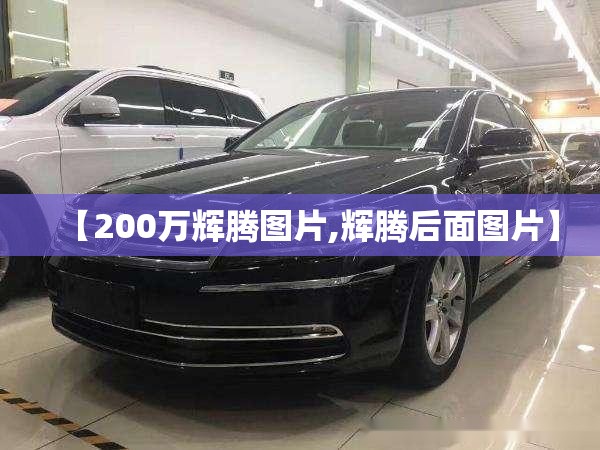 【200万辉腾图片,辉腾后面图片】