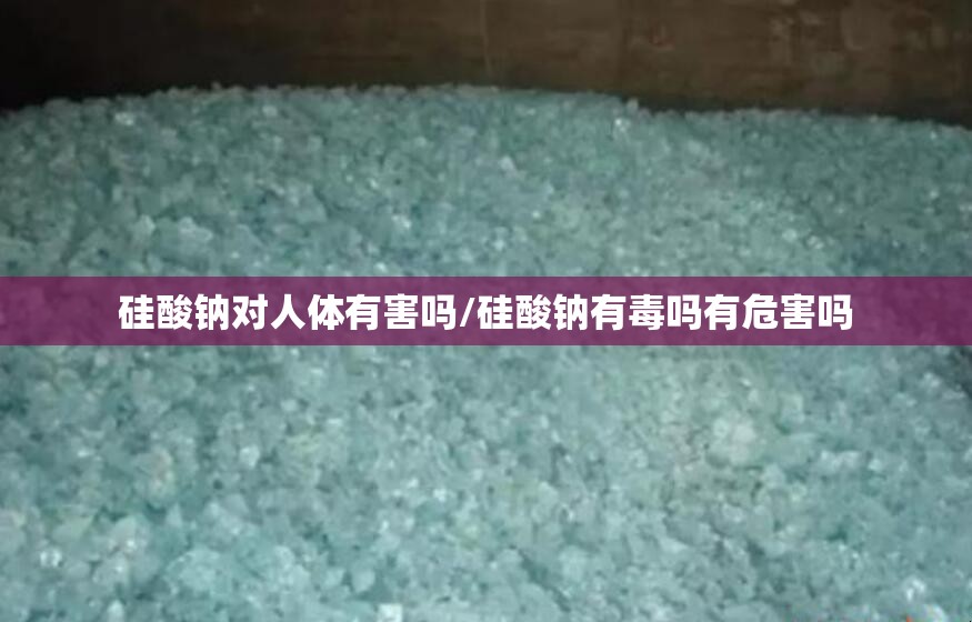硅酸钠对人体有害吗/硅酸钠有毒吗有危害吗 硅酸钠对人体有害吗/硅酸钠有毒吗有危害吗