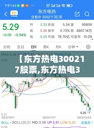 【东方热电300217股票,东方热电300217股票费用】