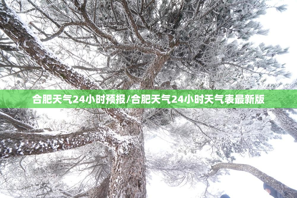 合肥天气24小时预报/合肥天气24小时天气表最新版