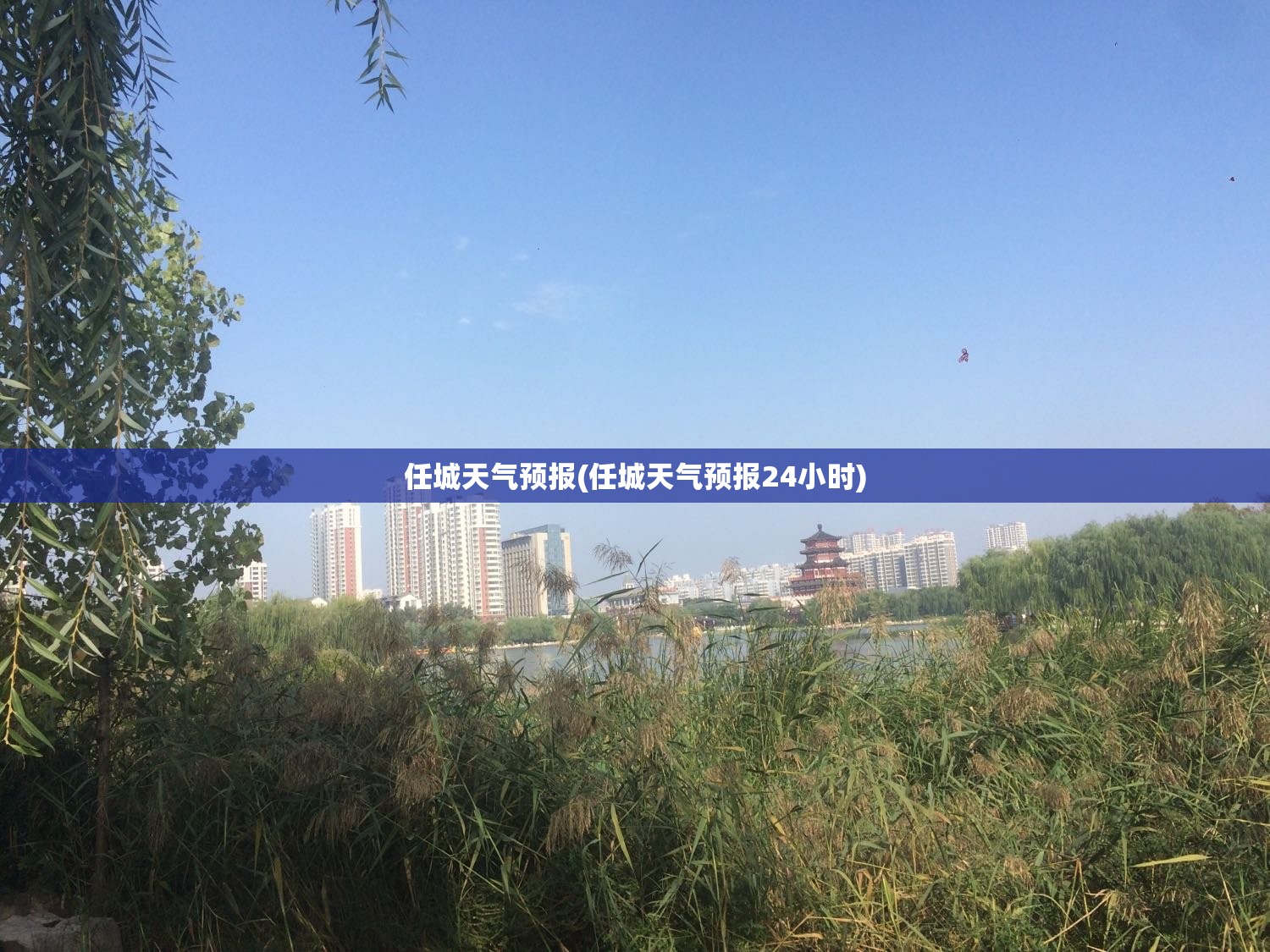 任城天气预报(任城天气预报24小时)