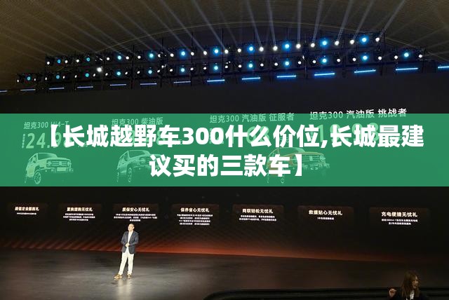 【长城越野车300什么价位,长城最建议买的三款车】