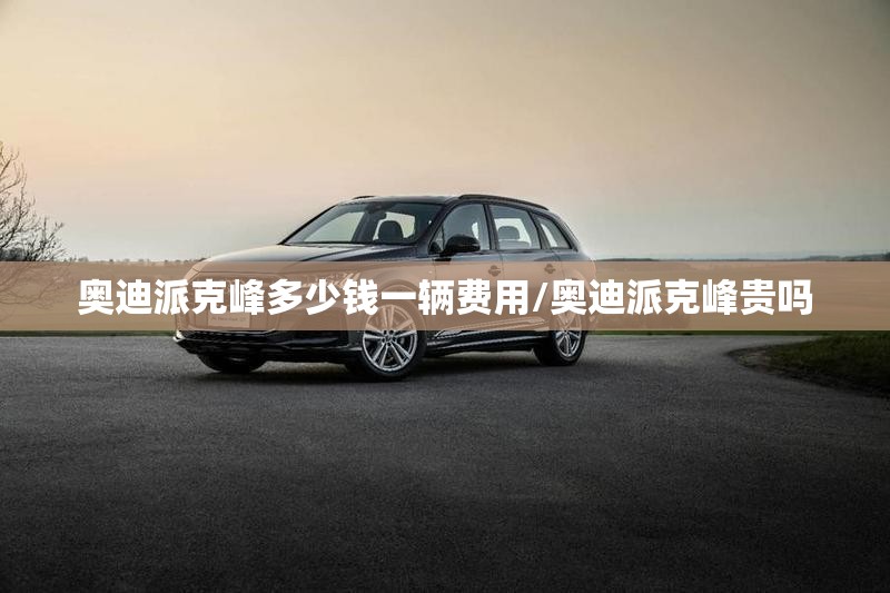奥迪派克峰多少钱一辆费用/奥迪派克峰贵吗 奥迪派克峰多少钱一辆费用/奥迪派克峰贵吗