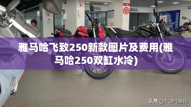 雅马哈飞致250新款图片及费用(雅马哈250双缸水冷)