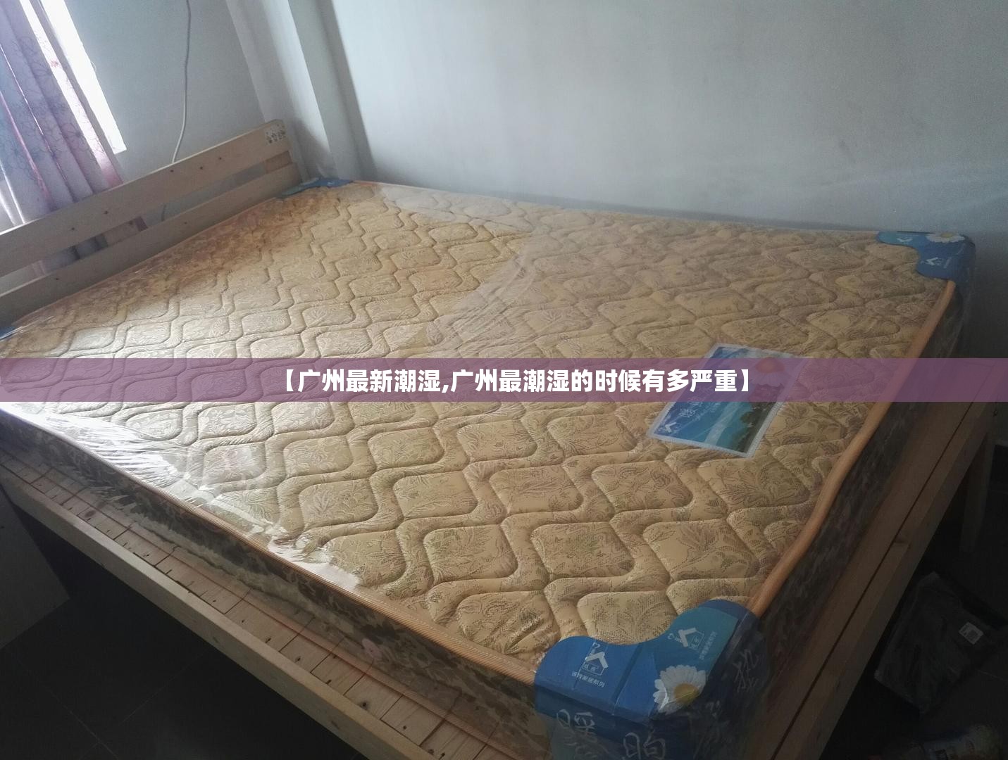 【广州最新潮湿,广州最潮湿的时候有多严重】