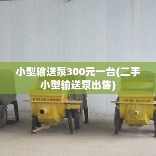 小型输送泵300元一台(二手小型输送泵出售) 小型输送泵300元一台(二手小型输送泵出售)