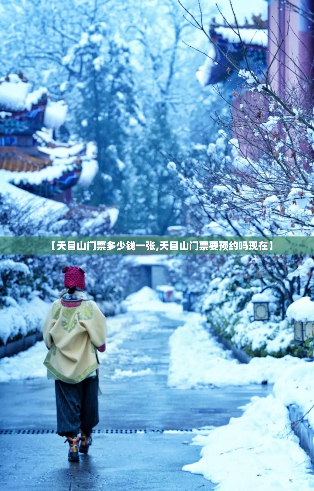 【天目山门票多少钱一张,天目山门票要预约吗现在】 【天目山门票多少钱一张,天目山门票要预约吗现在】