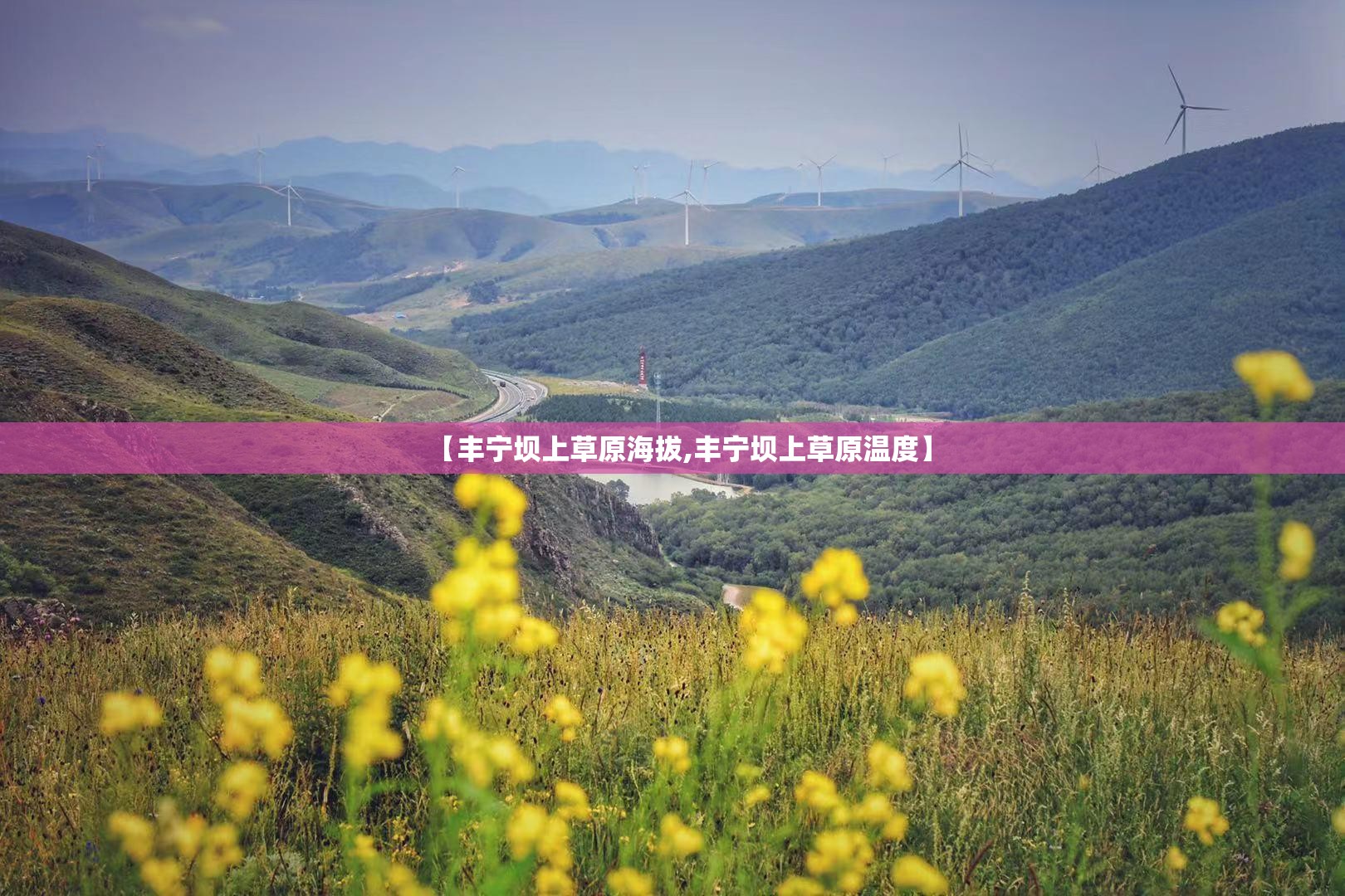 【丰宁坝上草原海拔,丰宁坝上草原温度】