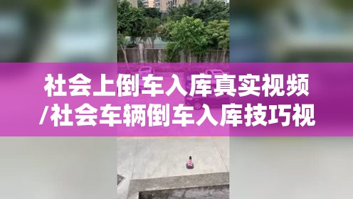 社会上倒车入库真实视频/社会车辆倒车入库技巧视频 社会上倒车入库真实视频/社会车辆倒车入库技巧视频