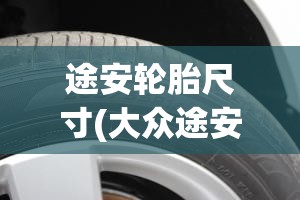 途安轮胎尺寸(大众途安轮胎规格)