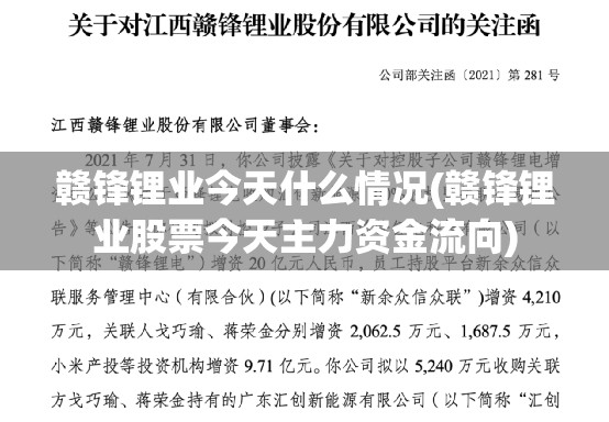 赣锋锂业今天什么情况(赣锋锂业股票今天主力资金流向) 赣锋锂业今天什么情况(赣锋锂业股票今天主力资金流向)
