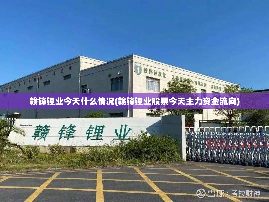 赣锋锂业今天什么情况(赣锋锂业股票今天主力资金流向) 赣锋锂业今天什么情况(赣锋锂业股票今天主力资金流向)