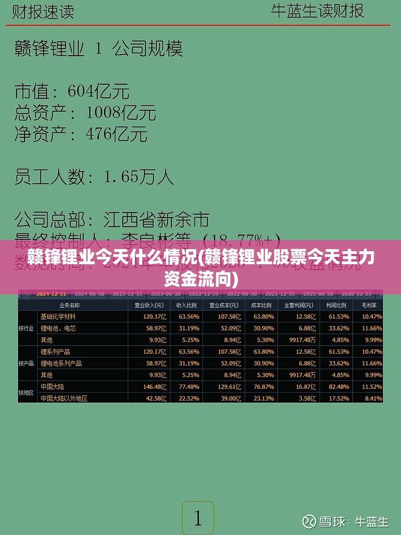 赣锋锂业今天什么情况(赣锋锂业股票今天主力资金流向) 赣锋锂业今天什么情况(赣锋锂业股票今天主力资金流向)