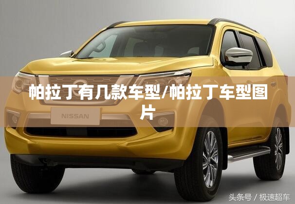 帕拉丁有几款车型/帕拉丁车型图片