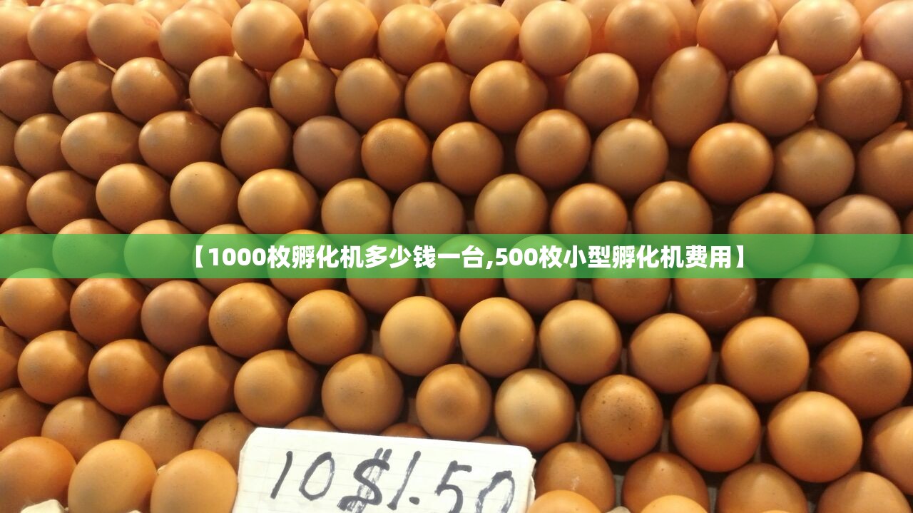 【1000枚孵化机多少钱一台,500枚小型孵化机费用】 【1000枚孵化机多少钱一台,500枚小型孵化机费用】