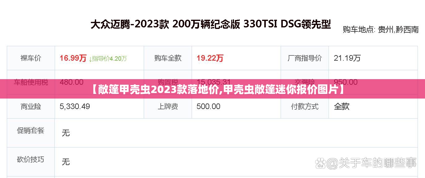 【敞篷甲壳虫2023款落地价,甲壳虫敞篷迷你报价图片】