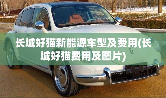 长城好猫新能源车型及费用(长城好猫费用及图片)