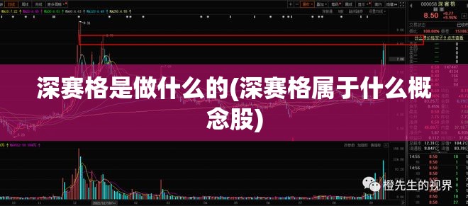 深赛格是做什么的(深赛格属于什么概念股) 深赛格是做什么的(深赛格属于什么概念股)