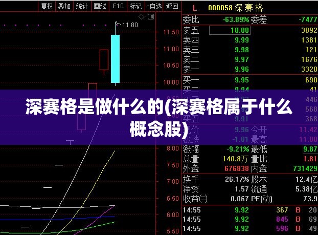深赛格是做什么的(深赛格属于什么概念股) 深赛格是做什么的(深赛格属于什么概念股)