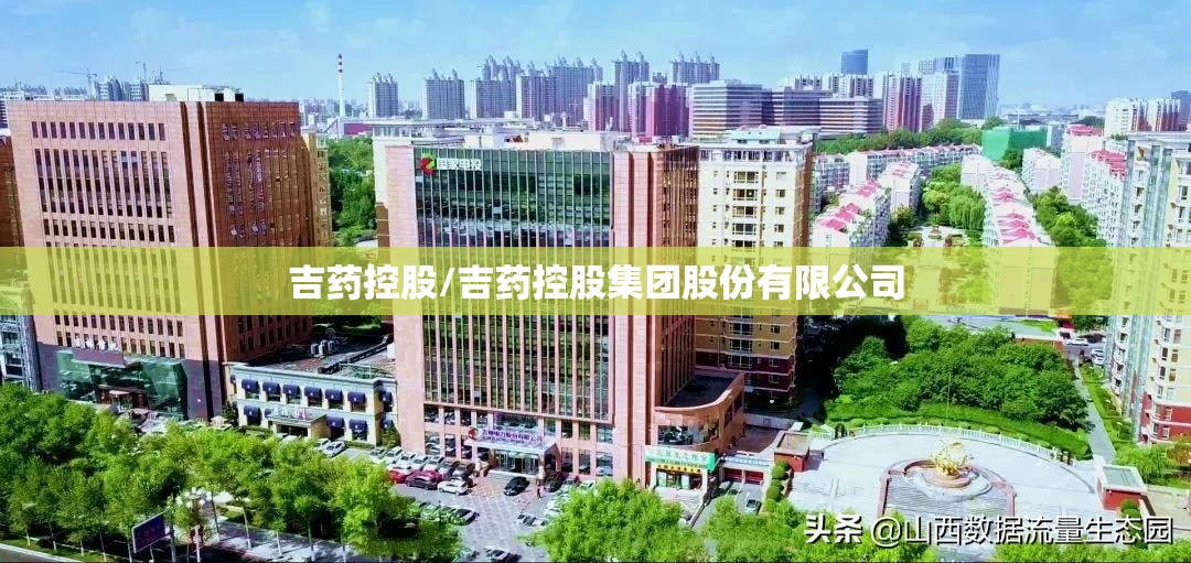 吉药控股/吉药控股集团股份有限公司 吉药控股/吉药控股集团股份有限公司