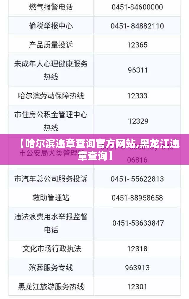 【哈尔滨违章查询官方网站,黑龙江违章查询】