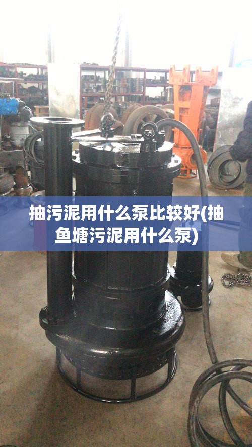 抽污泥用什么泵比较好(抽鱼塘污泥用什么泵)