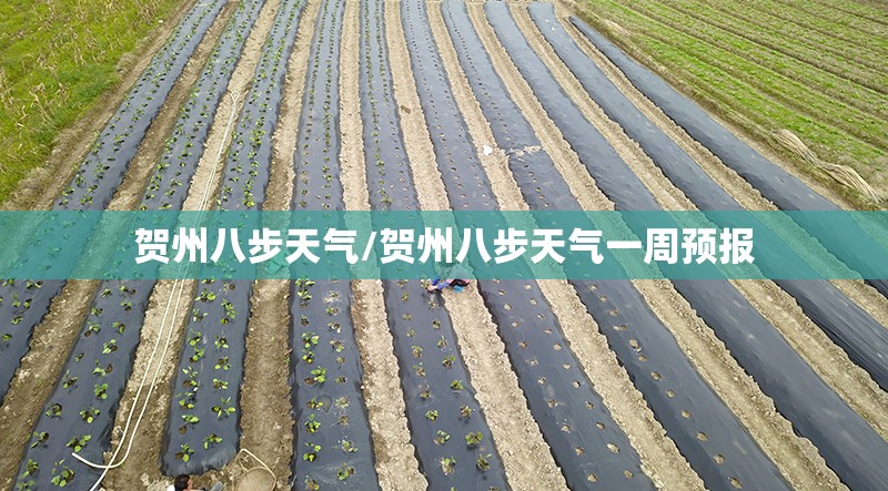 贺州八步天气/贺州八步天气一周预报