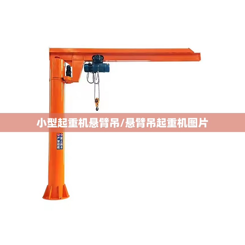 小型起重机悬臂吊/悬臂吊起重机图片 小型起重机悬臂吊/悬臂吊起重机图片