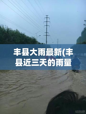 丰县大雨最新(丰县近三天的雨量) 丰县大雨最新(丰县近三天的雨量)