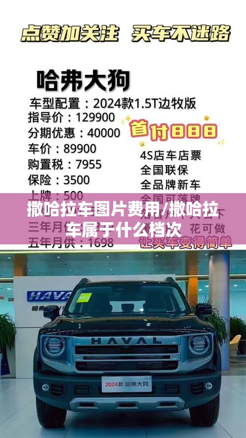 撒哈拉车图片费用/撒哈拉车属于什么档次