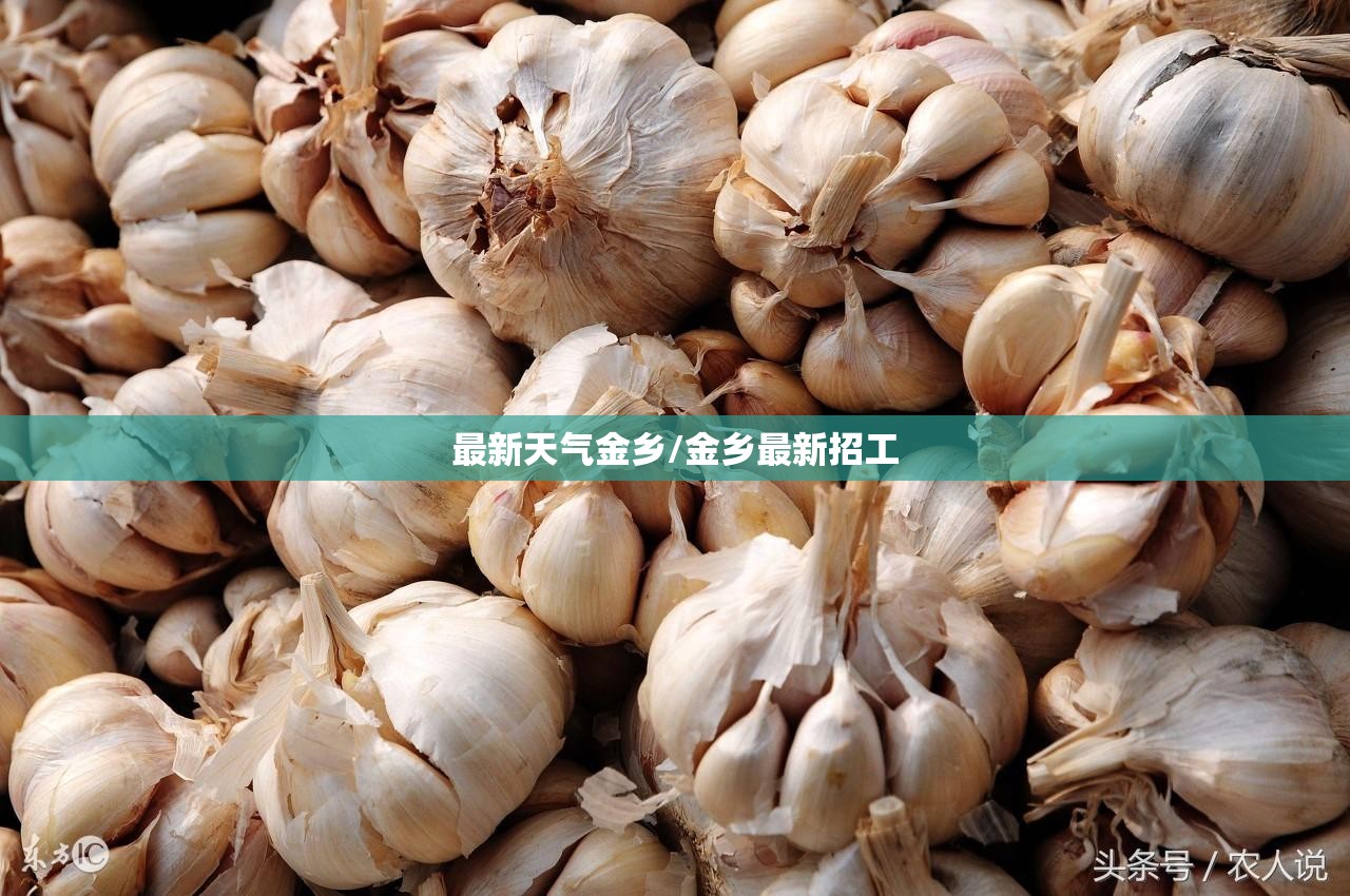 最新天气金乡/金乡最新招工 最新天气金乡/金乡最新招工