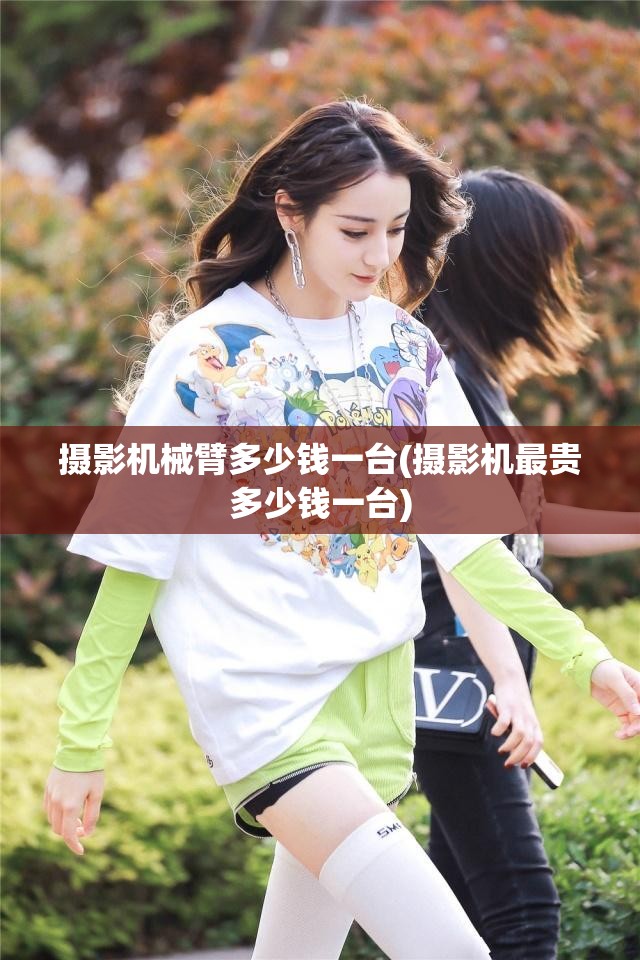 摄影机械臂多少钱一台(摄影机最贵多少钱一台)