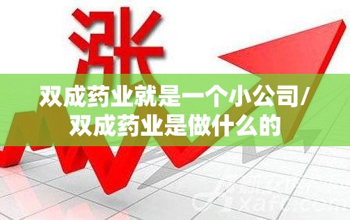 双成药业就是一个小公司/双成药业是做什么的
