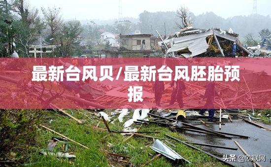最新台风贝/最新台风胚胎预报