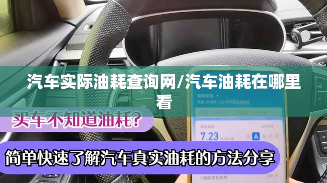 汽车实际油耗查询网/汽车油耗在哪里看