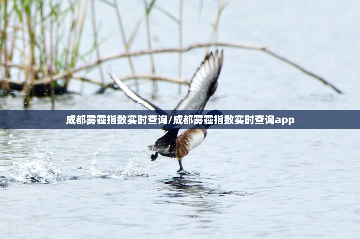 成都雾霾指数实时查询/成都雾霾指数实时查询app