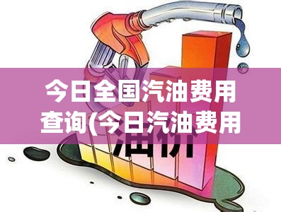 今日全国汽油费用查询(今日汽油费用查询92号)