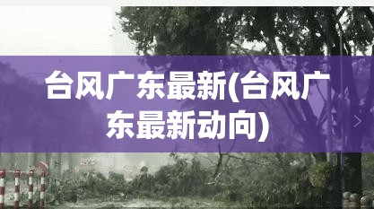 台风广东最新(台风广东最新动向)