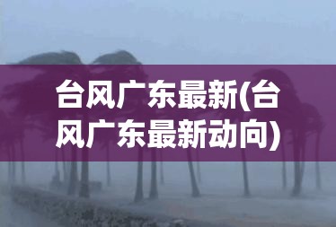 台风广东最新(台风广东最新动向)