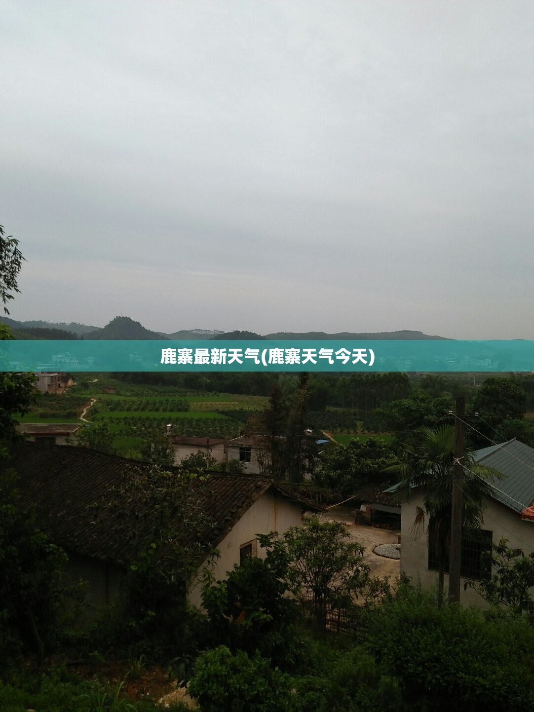 鹿寨最新天气(鹿寨天气今天) 鹿寨最新天气(鹿寨天气今天)