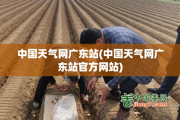 中国天气网广东站(中国天气网广东站官方网站) 中国天气网广东站(中国天气网广东站官方网站)