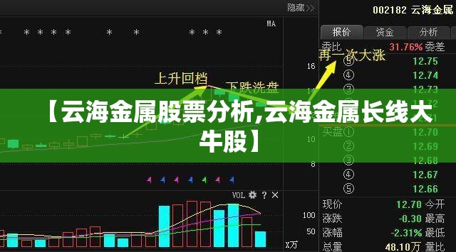 【云海金属股票分析,云海金属长线大牛股】